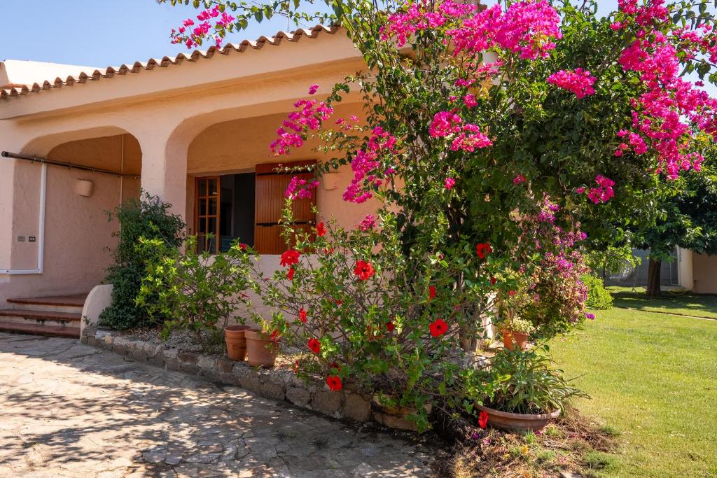 Villa Punta Longa - 2