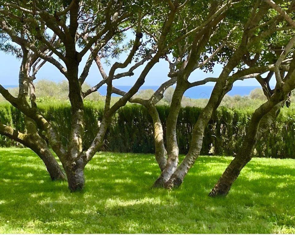 Angolo di paradiso - 5