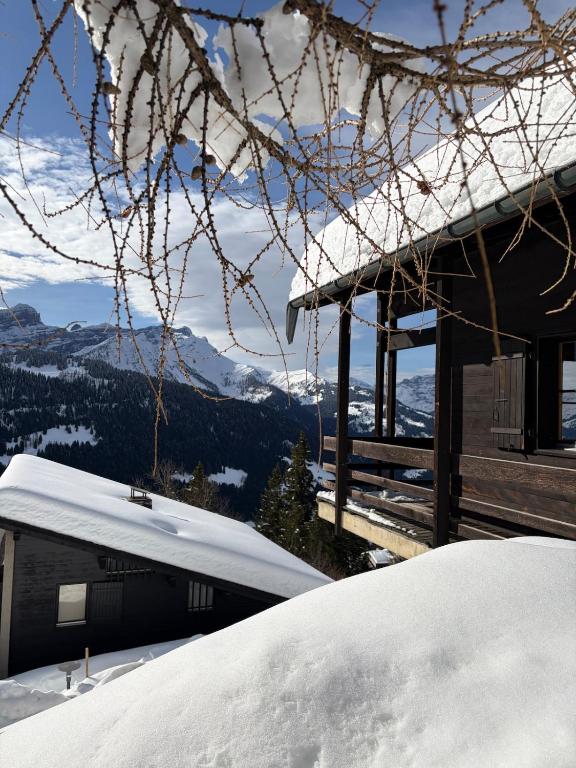 Beautiful chalet with exceptional views, ski-to-door, very quiet - 4
