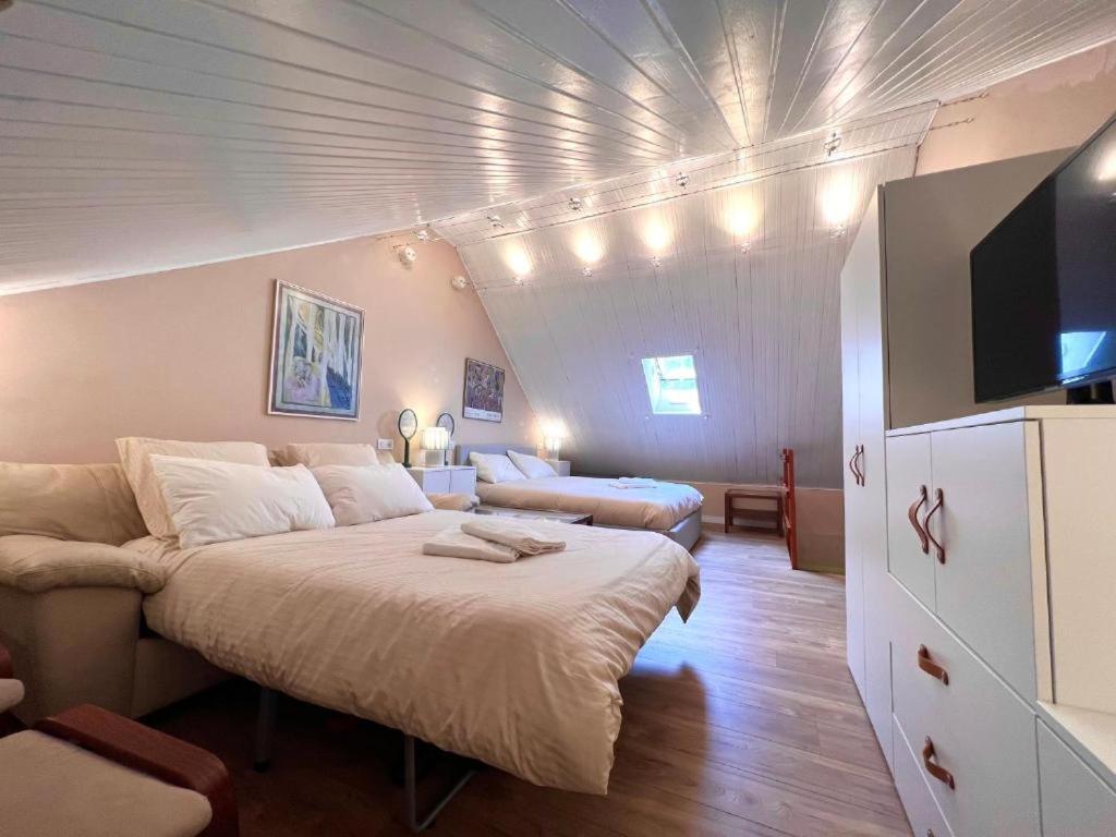 Rocca dell'Abisso Suite Comfort Relax Ski in-Ski out-Limone Piemonte - 4