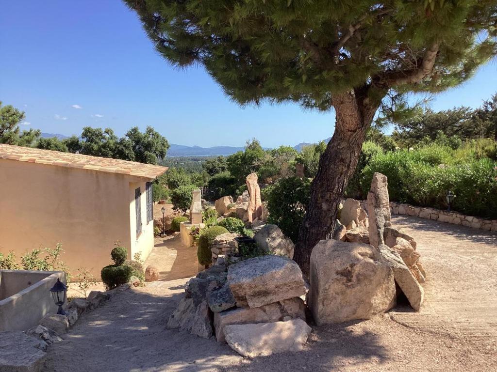 Fiori Di Santa Giulia - 4