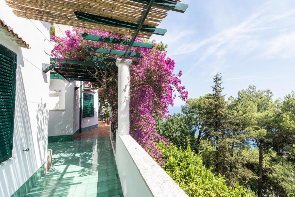 Amalfitana Relais - 2