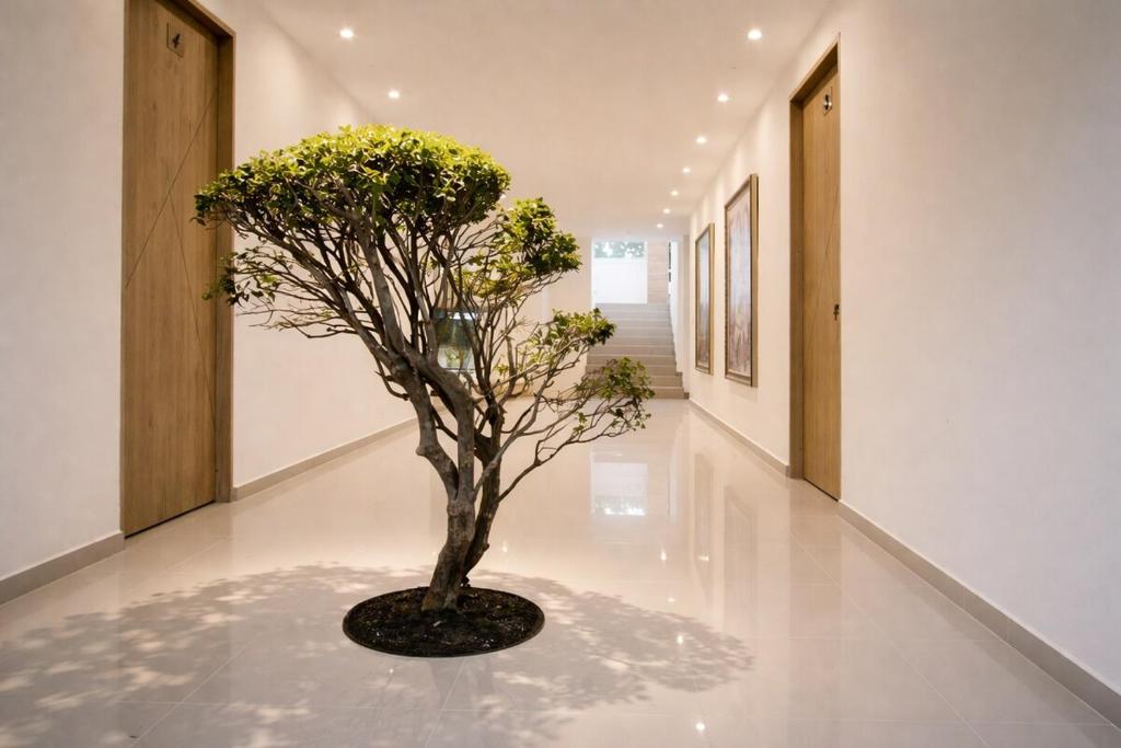 Finca Hotel Dubai - 3