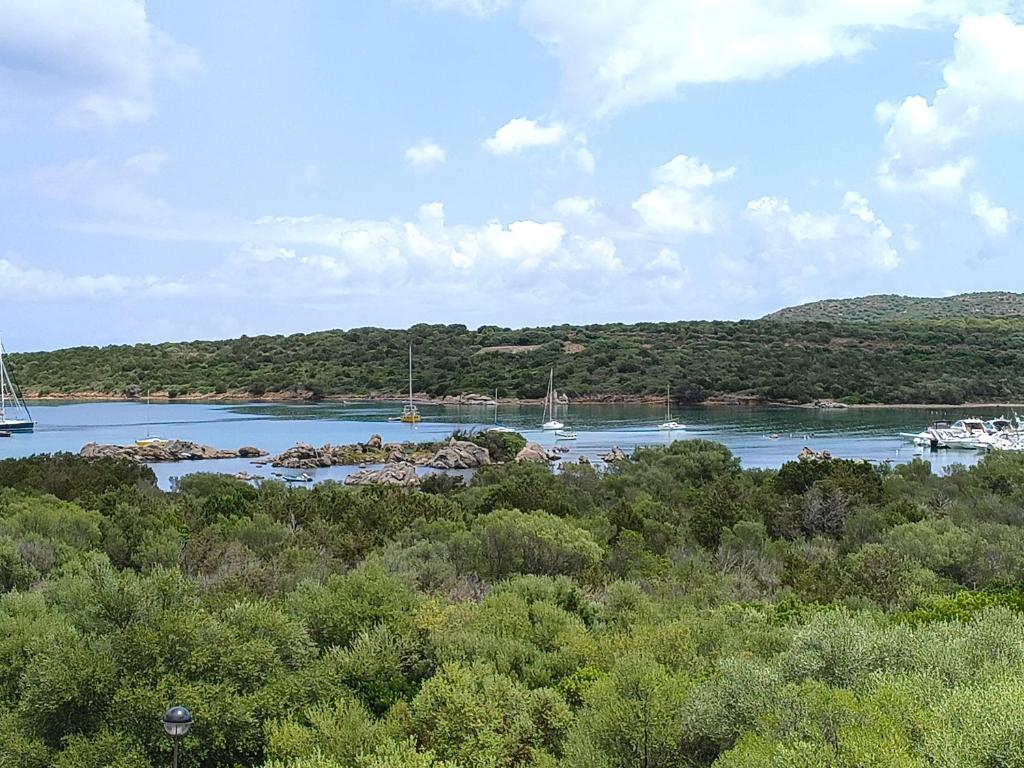 La casa di Gavina - 1