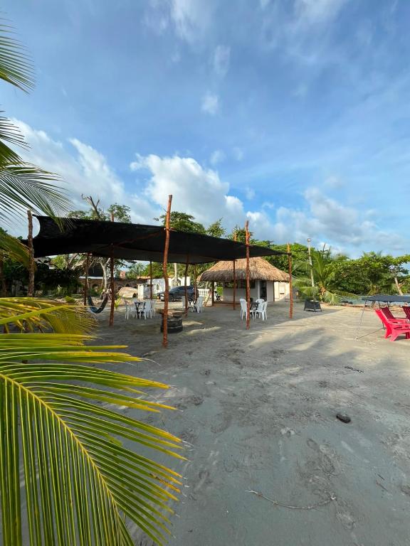 Hotel Boutique Primavera Beach - 5