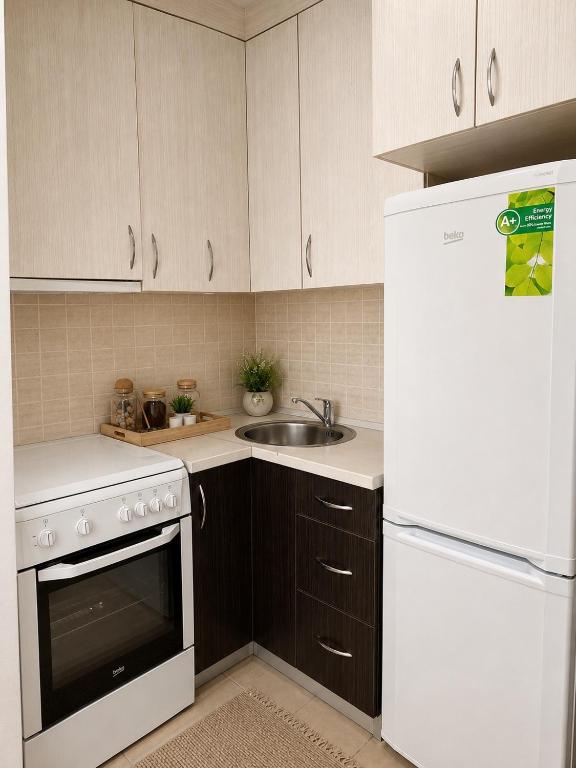Bright & Cozy Apartment, 5 Min From Airport - 4