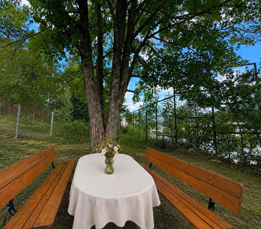 Apartman Mito - 3