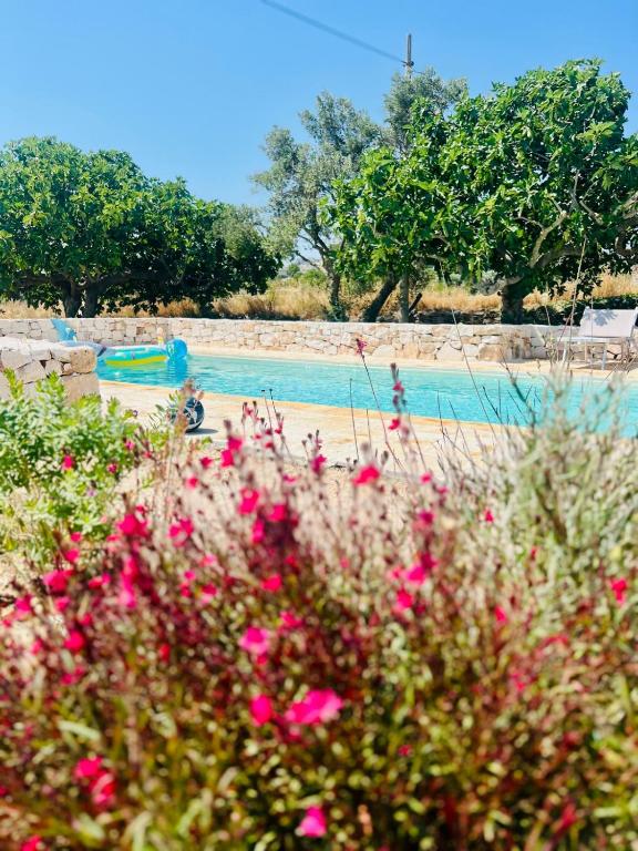 Brunaldi Trulli Pool Villa - 4