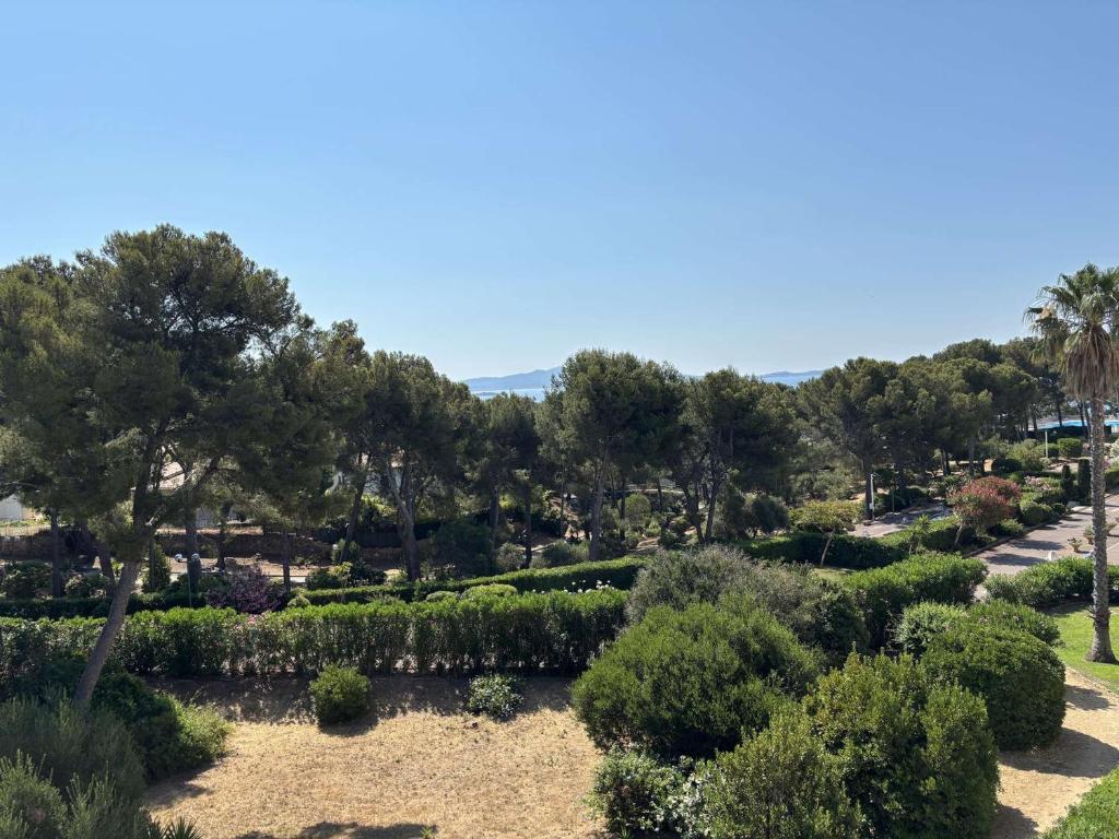 Charmant appartement vue mer - 4 pers. - FR-1-845-45 - 5