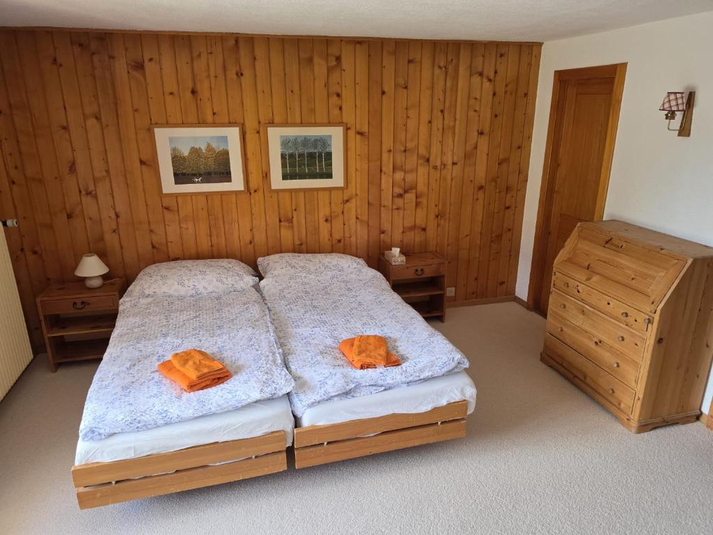 Alpine Family Duplex with amazing terrace - 5