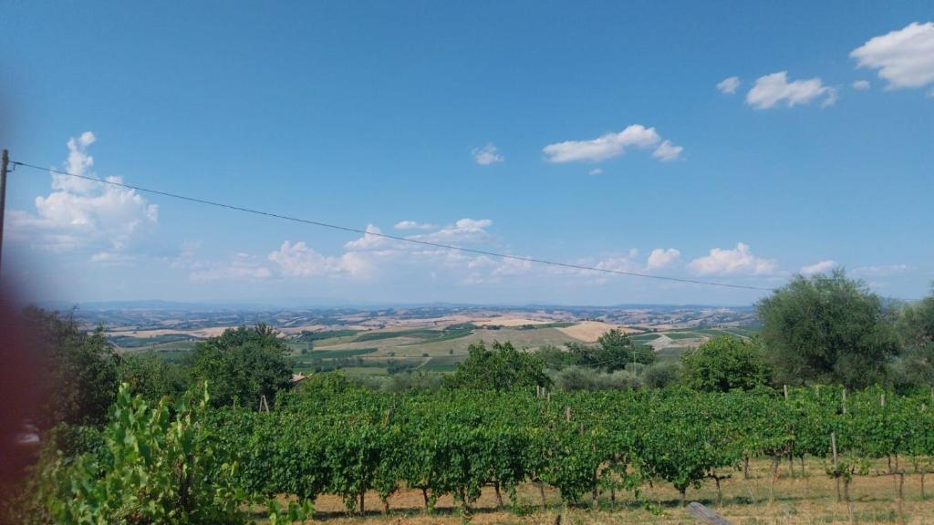 Agriturismo Villa Paradisino MUSICO - 4