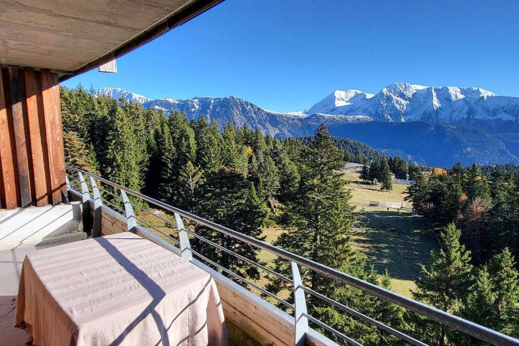 Vue spectaculaire, Appartement T3 pied des pistes, terrasse, parking, 6 pers - 4
