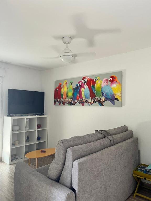 Studio Cosy les Perruches - 2