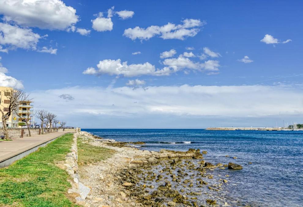 Escala Riells - 5
