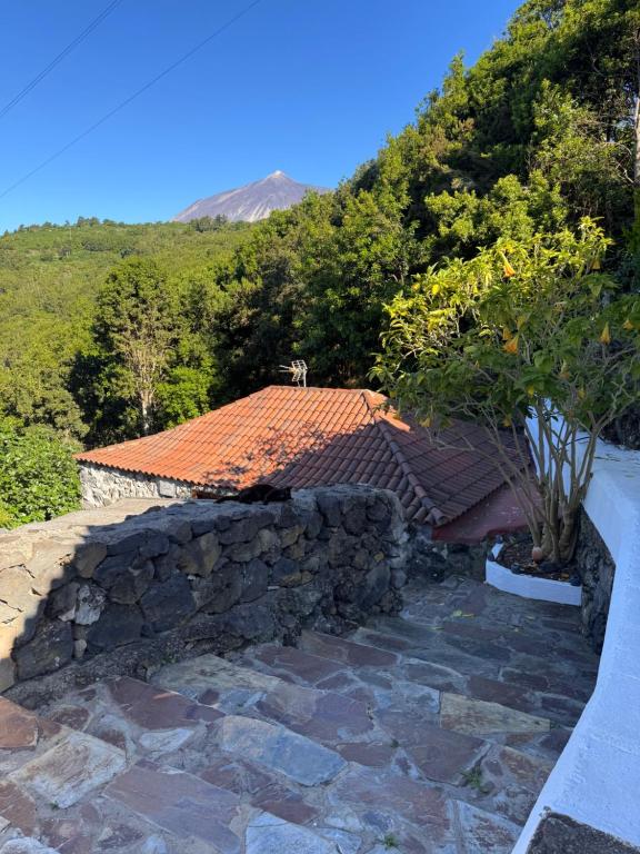 Finca el molledo - 3