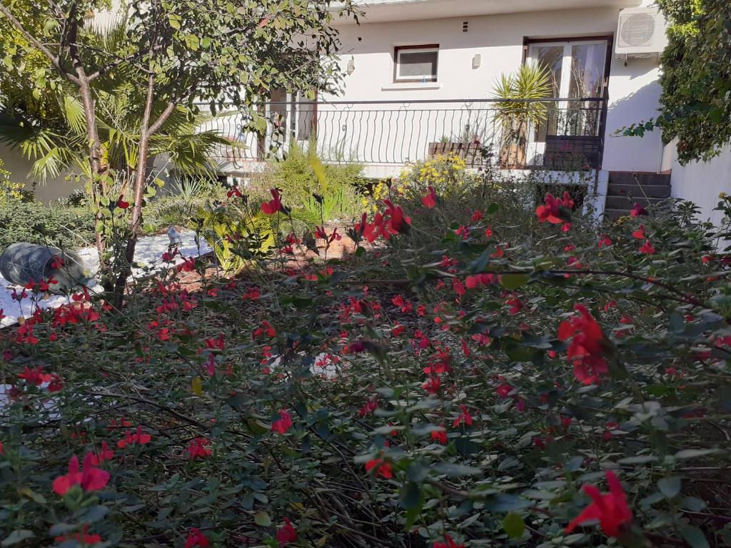 Bel appartement avec grande terrasse ensoleillée et jardin - 4