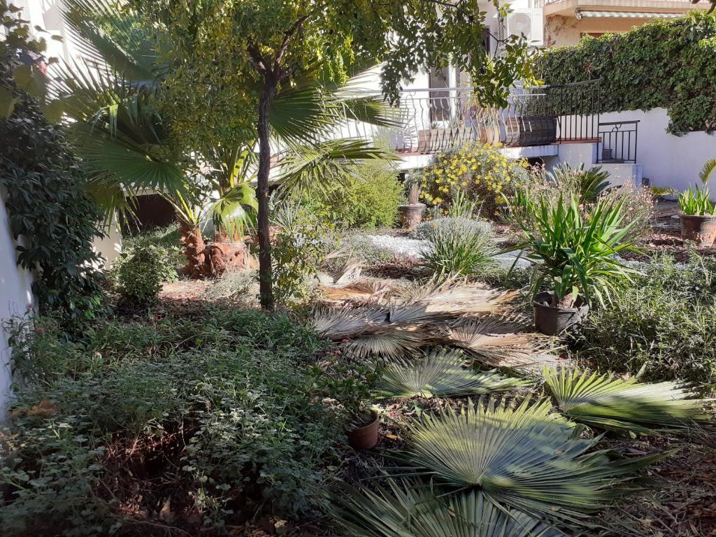Bel appartement avec grande terrasse ensoleillée et jardin - 3