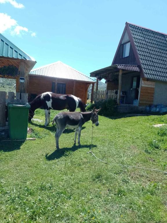Konoba Vratlo Sinjajevina Ječmen Do - 3