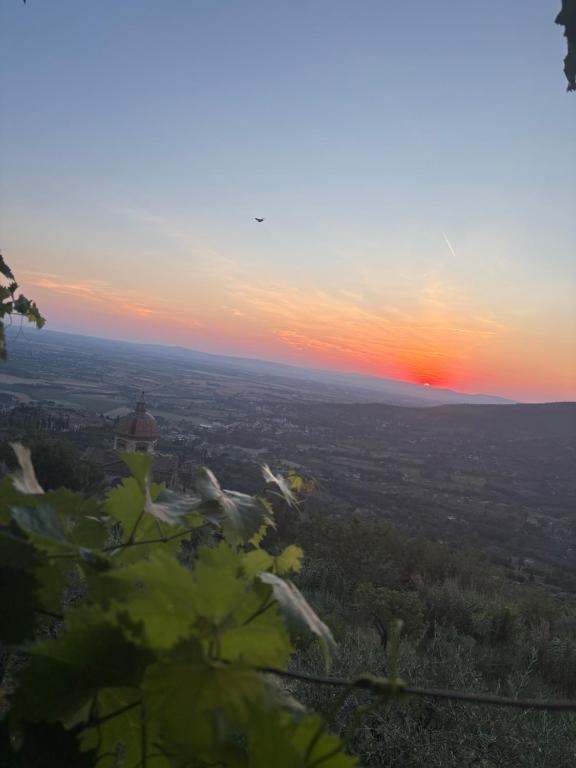 Agriturismo Casa Paradiso - 2