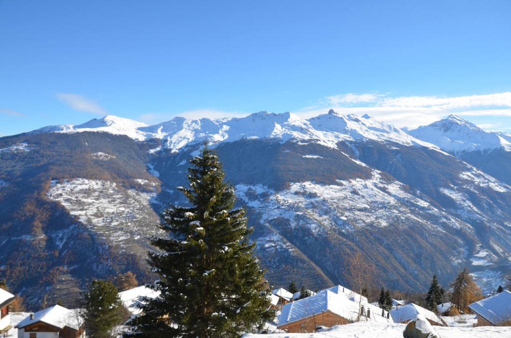 Immeuble Belvédère - 5