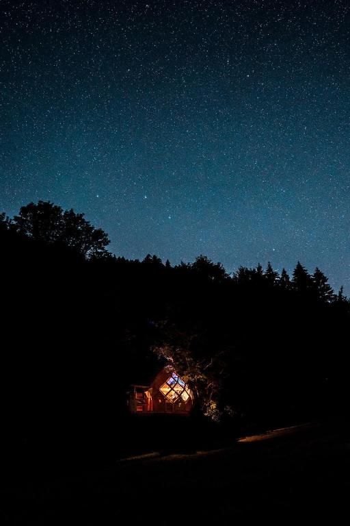 La Pomme de Pin Perchée, cabane romantique pour 2 - 2