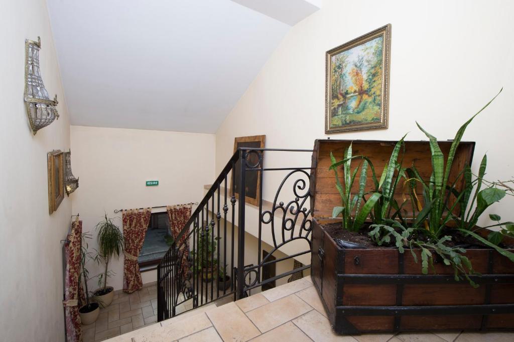 Boutique Pension Park photo