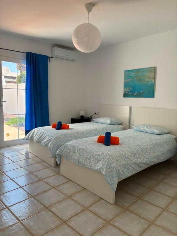 Casa Alfred - 5
