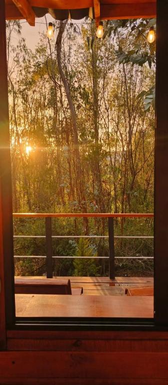 Silua Eco glamping - 3
