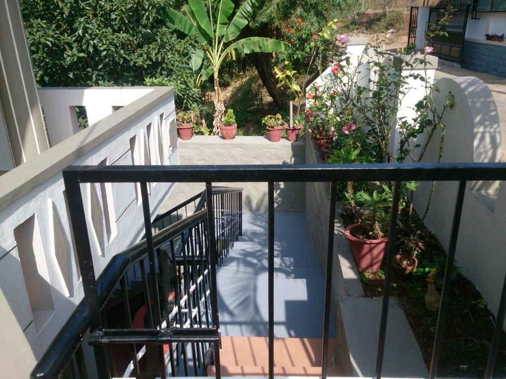 Dhruva Homestay photo