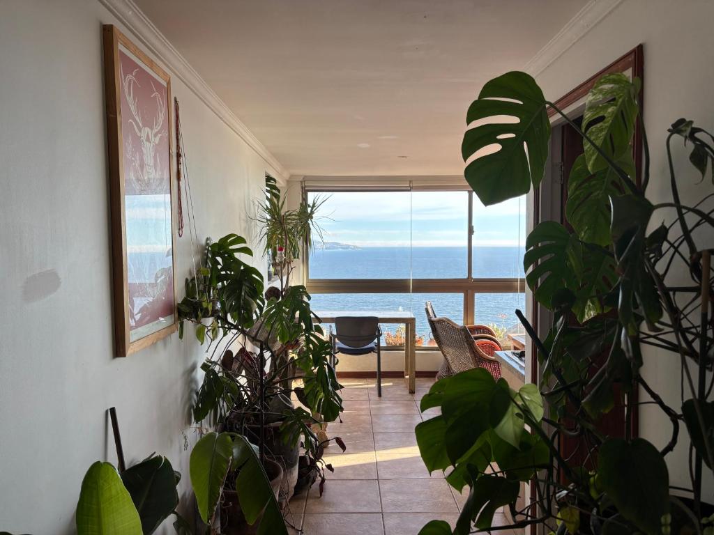 Departamento en Reñaca con hermosa vista al Mar - 4