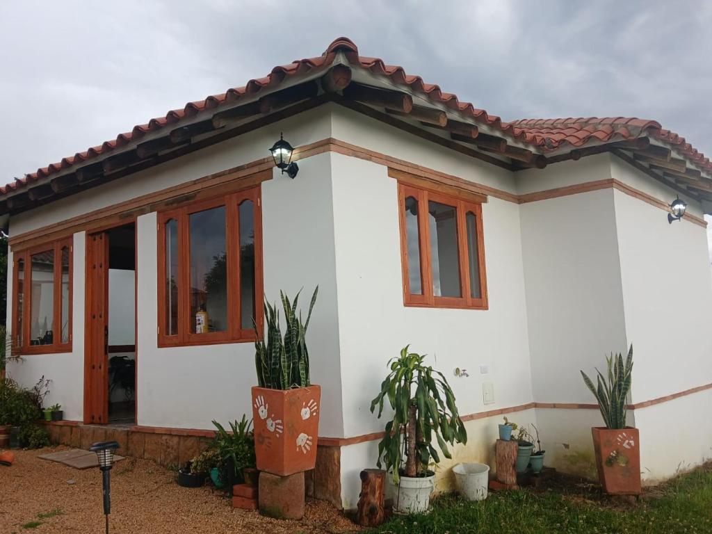 El MIRADOR - 1