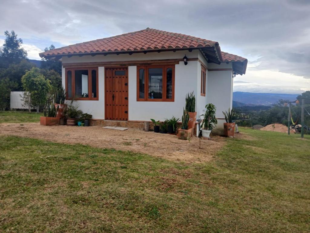 El MIRADOR - 4