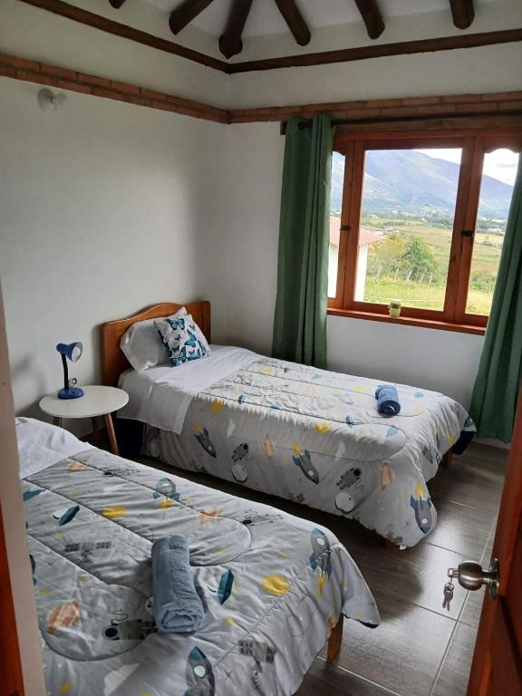El MIRADOR - 5