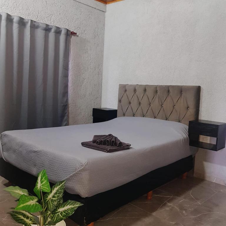 Casa Sofía - 2