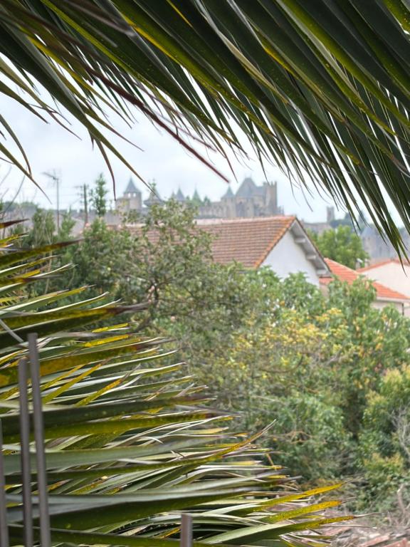 Quiet house for 12 people near Cité Carcassonne - 2