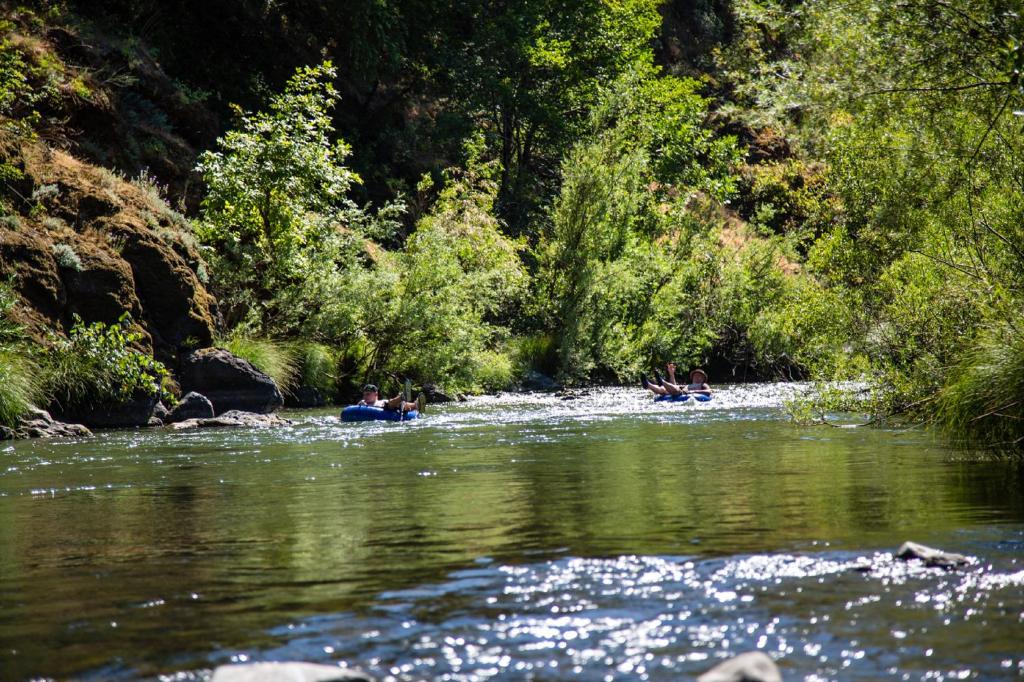 Russian River Camping Resort Studio Cabin 4 photo