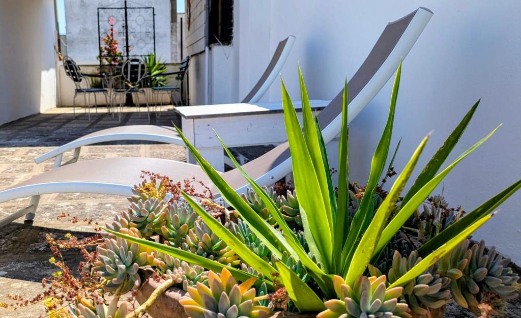 Casa Emilia - 3