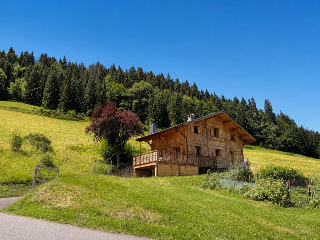 Chocolate Moose Chalet - Snow and Trek - Morzine - 2