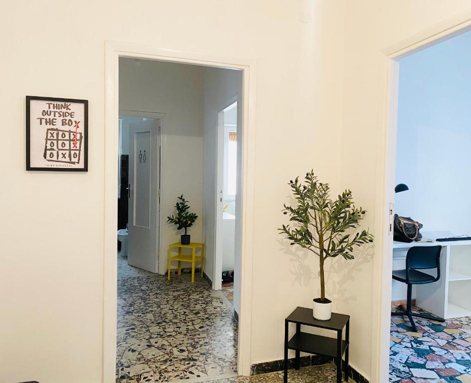 Ama Cagliari - 4