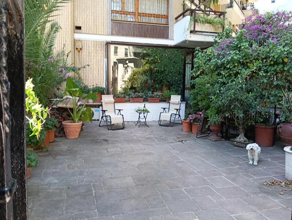 CasaFlavio - 3