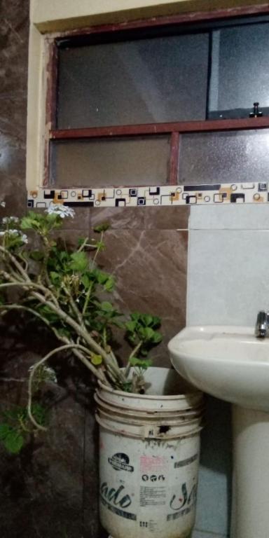Sacred Valley Boutique Vegan Guesthouse - 4
