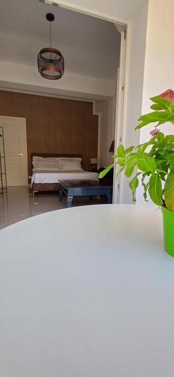 Vegan B&B - 5