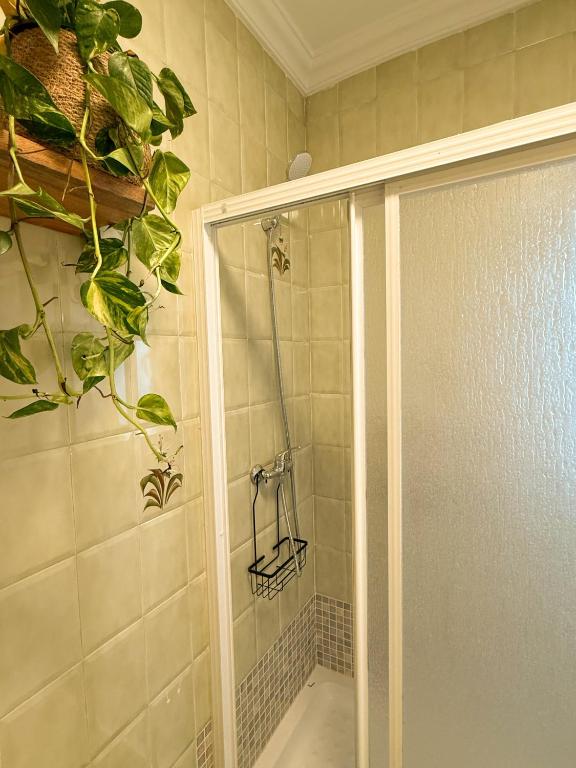 Apartamentos Compan Santos - 4