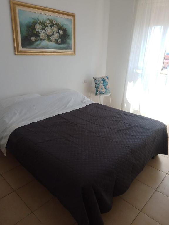 Ippocampo - 2