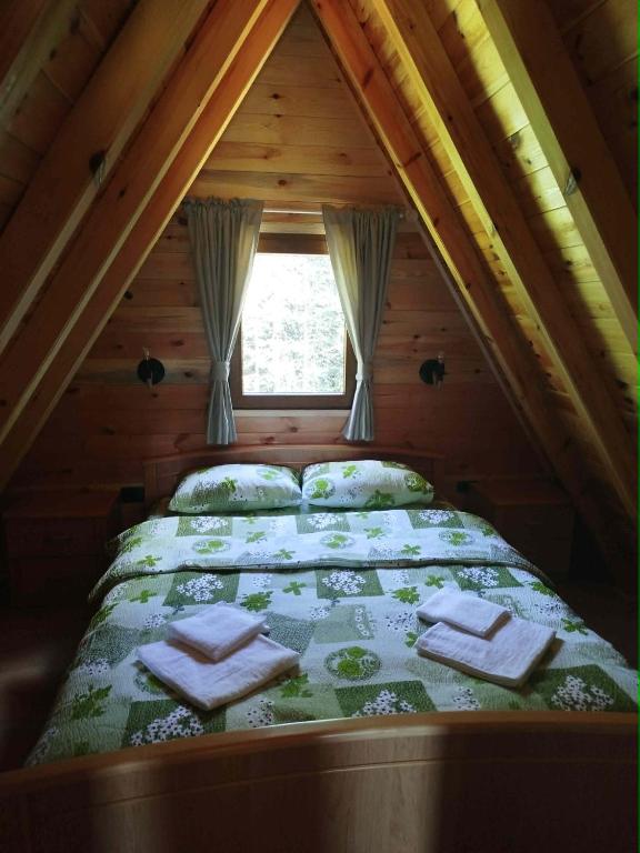 Durmitor Forest Retreat - 4
