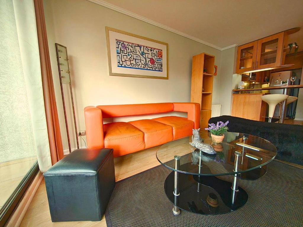 Apartment with Terrace Mountain View Providencia - 4