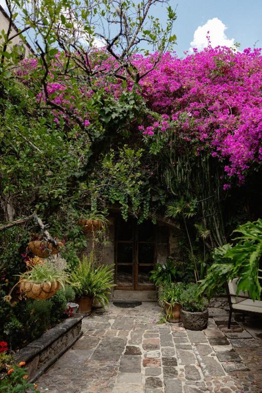 Hacienda Las Amantes - 2