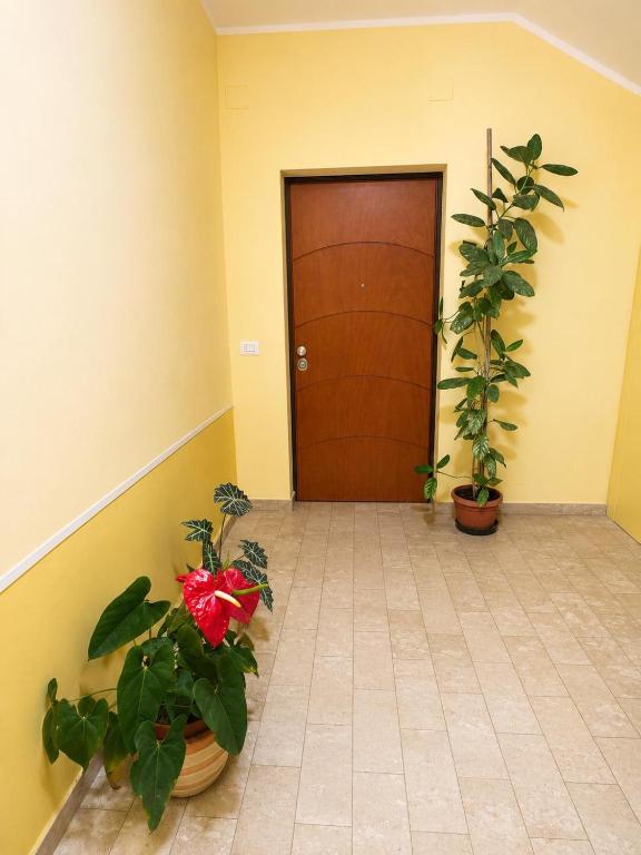 Camelia house - 4