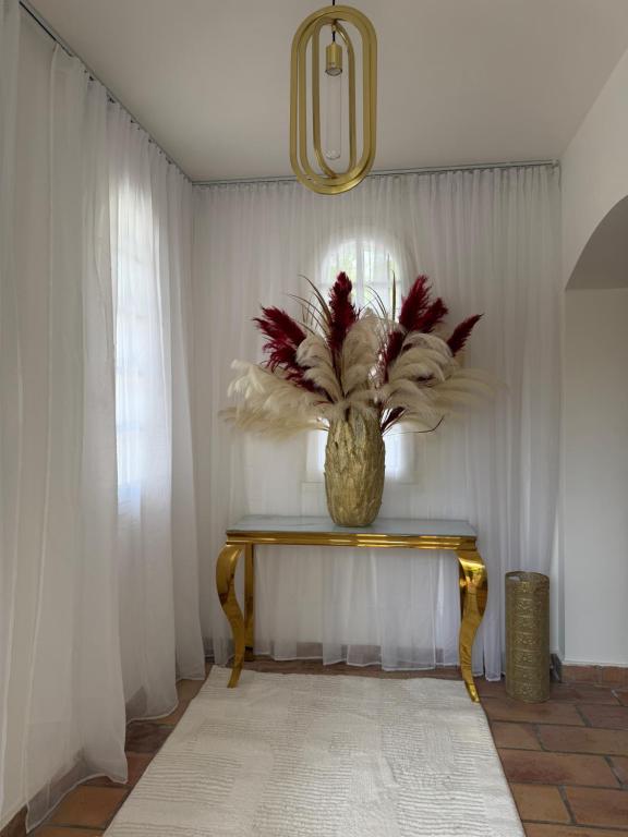 Les lofts d'exception - Montpellier - 3