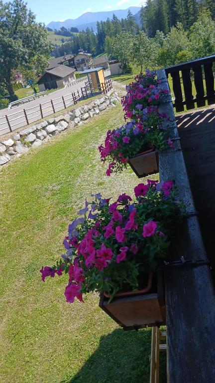 Relax al lago di Braies - 3